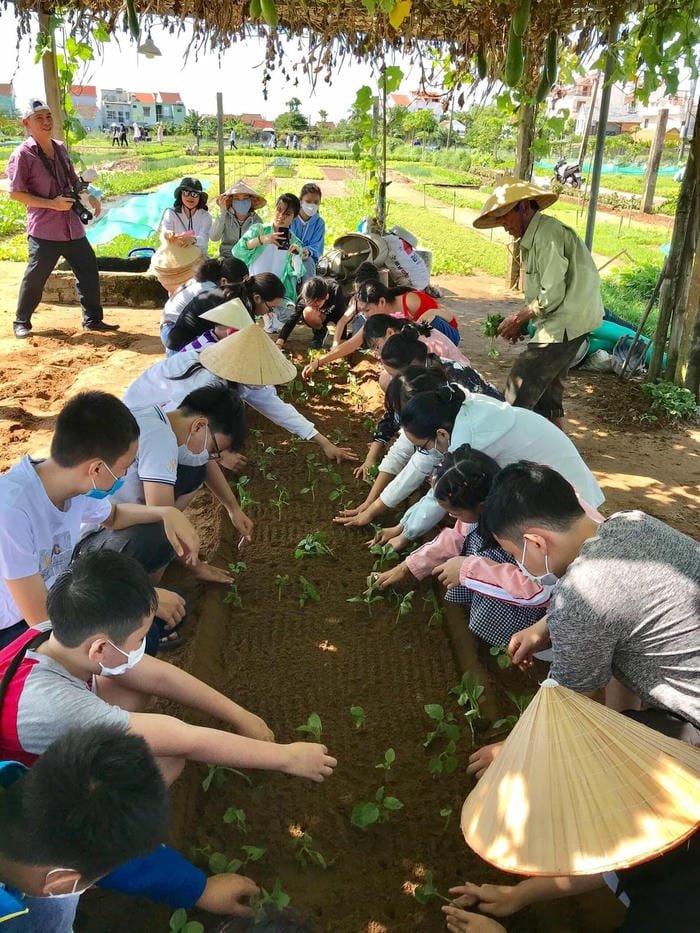 hình ảnh bảo vệ môi trường 10