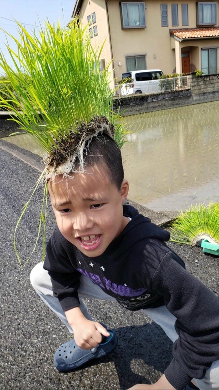 hình ảnh bựa 16