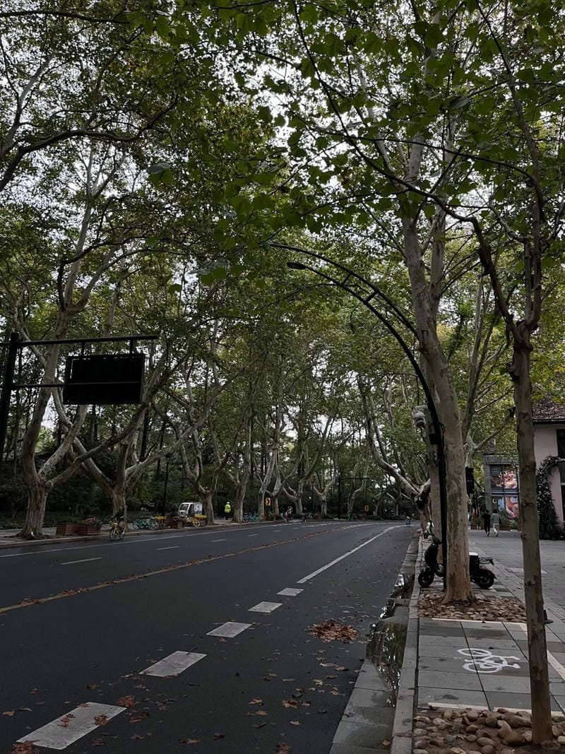 hình ảnh con đường mùa thu 19