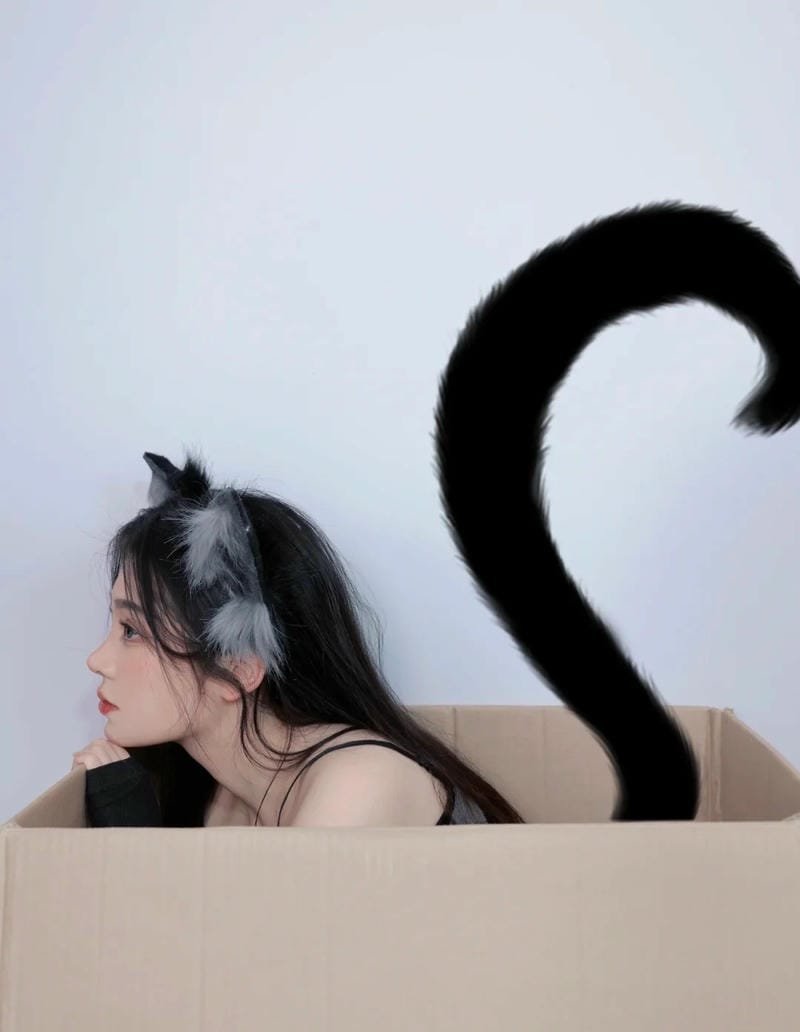 hình ảnh cosplay đuôi mèo 16