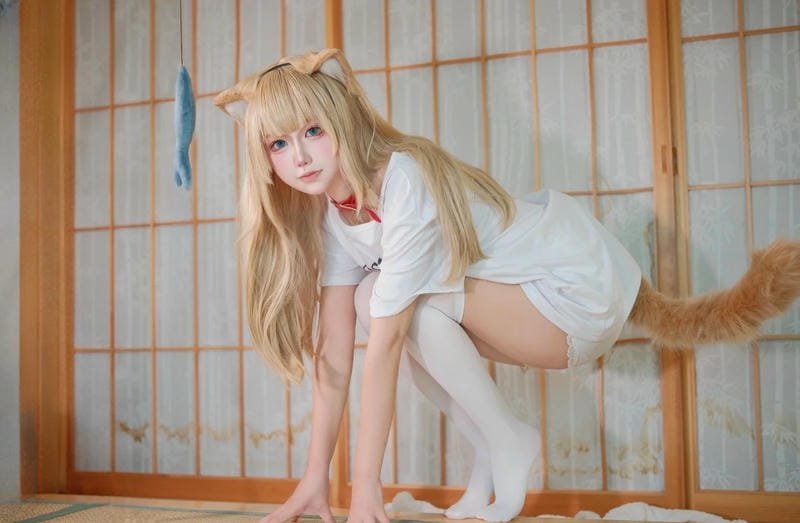 hình ảnh cosplay đuôi mèo 26