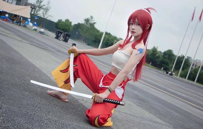 hình ảnh cosplay erza 17