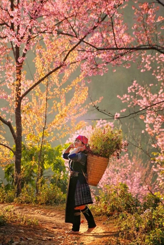 hình ảnh làng quê Việt Nam 15