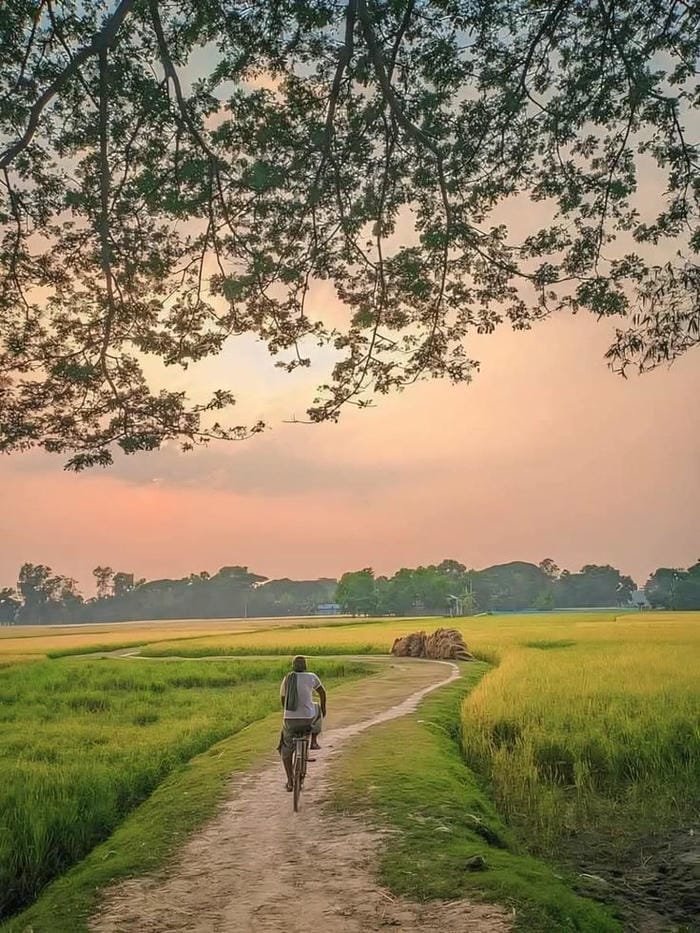 hình ảnh làng quê Việt Nam 17