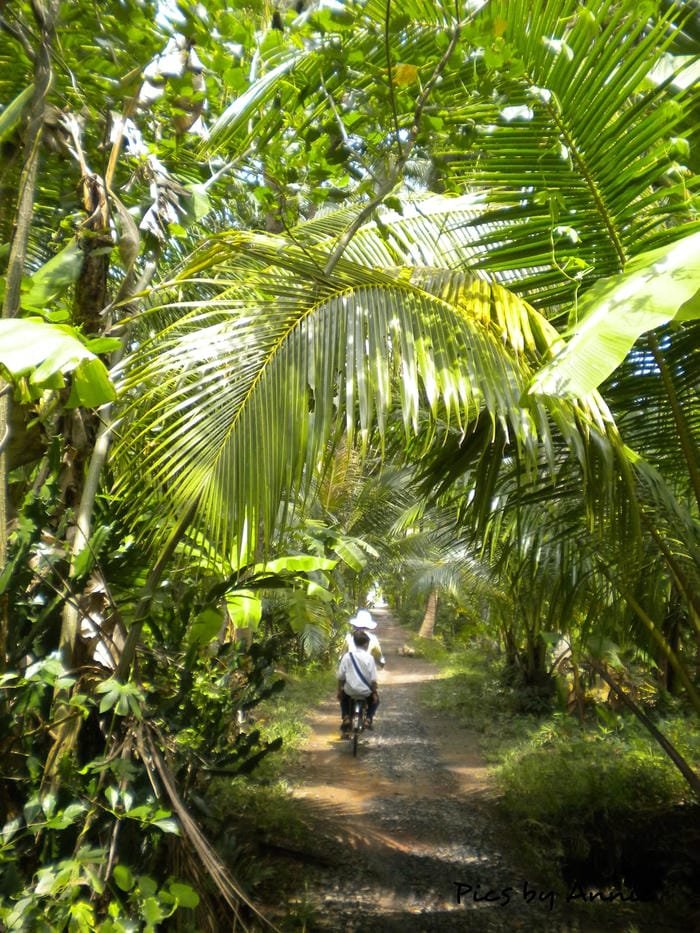 hình ảnh làng quê Việt Nam 2