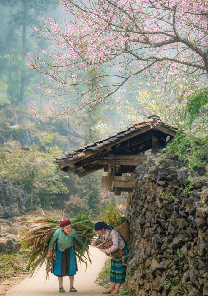 hình ảnh làng quê Việt Nam 21