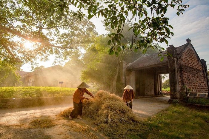 hình ảnh làng quê Việt Nam 22
