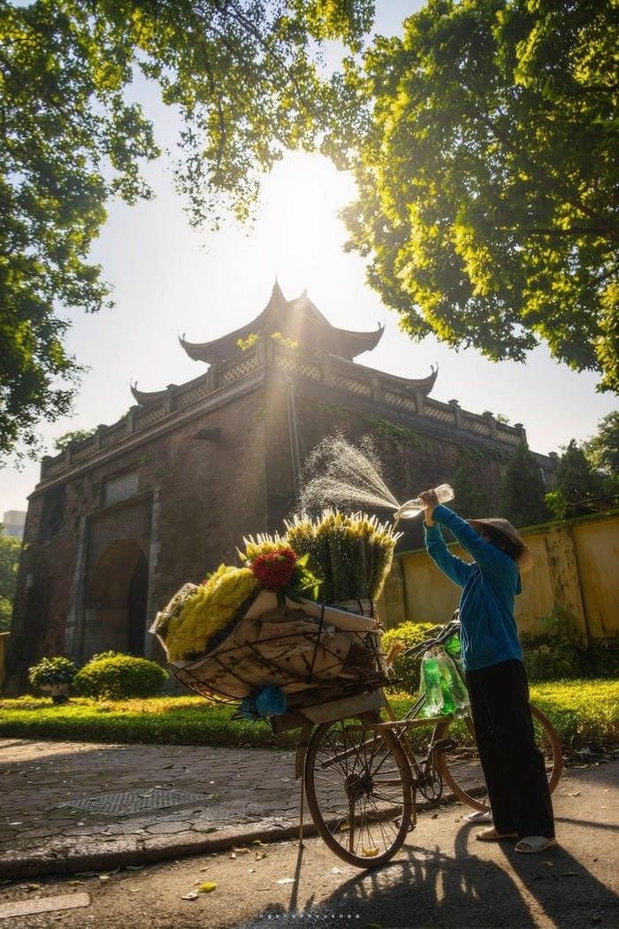 hình ảnh làng quê Việt Nam 3