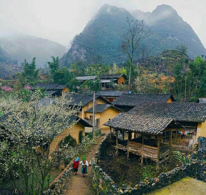 hình ảnh làng quê Việt Nam 4
