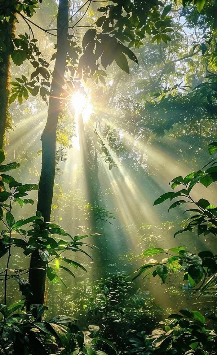 hình ảnh mặt trời 1