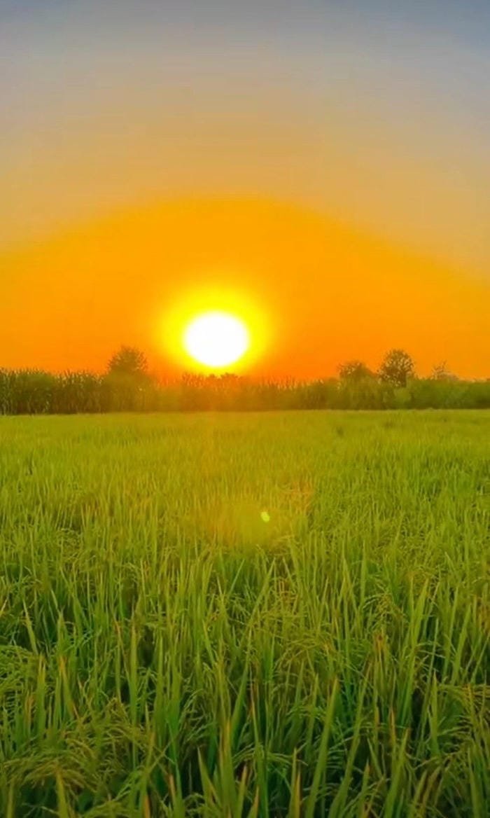 hình ảnh mặt trời 21