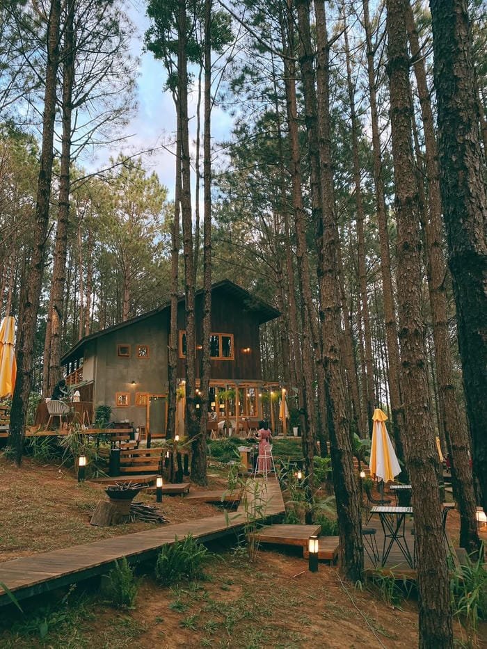 hình ảnh ngôi nhà trong rừng 24