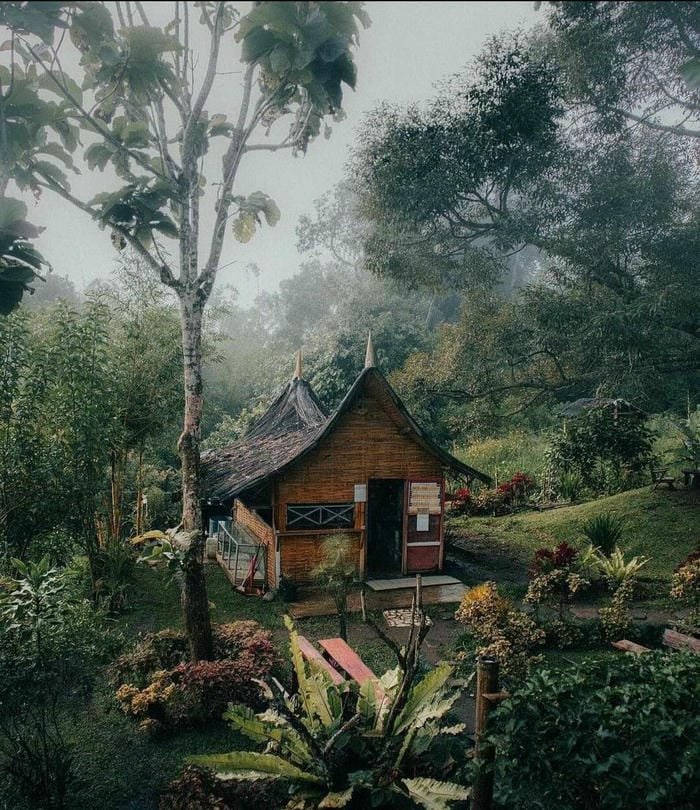 hình ảnh ngôi nhà trong rừng 3