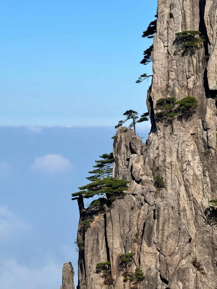 hình ảnh núi non 15