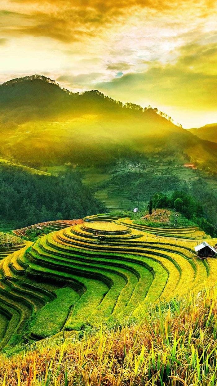 hình ảnh ruộng bậc thang Tây Bắc 2