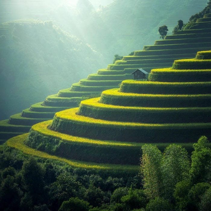 hình ảnh ruộng bậc thang Tây Bắc 20