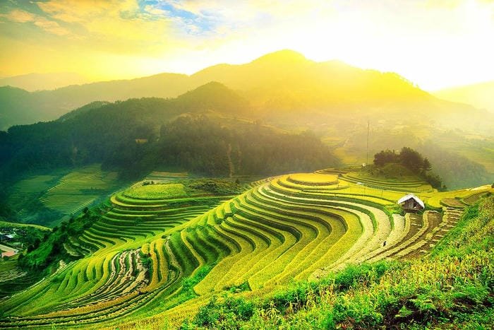 hình ảnh ruộng bậc thang Tây Bắc 24