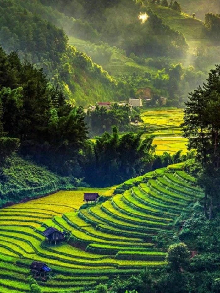 hình ảnh ruộng bậc thang Tây Bắc 28