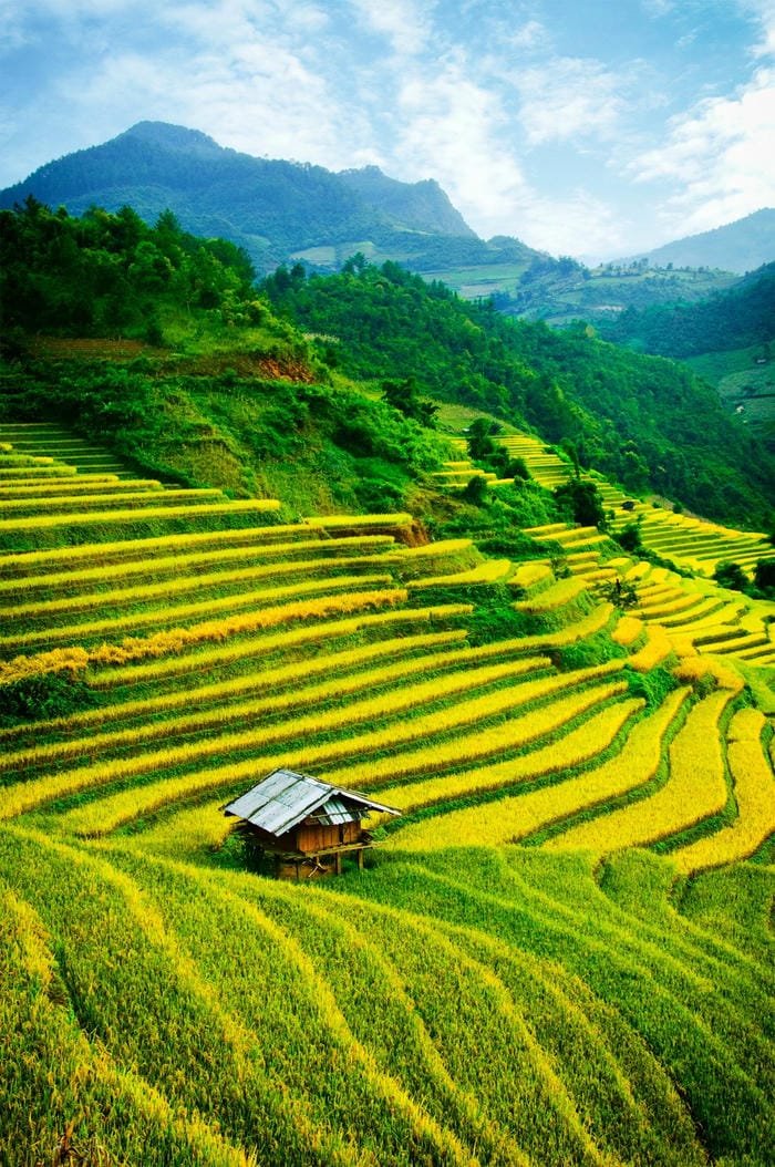 hình ảnh ruộng bậc thang Tây Bắc 29