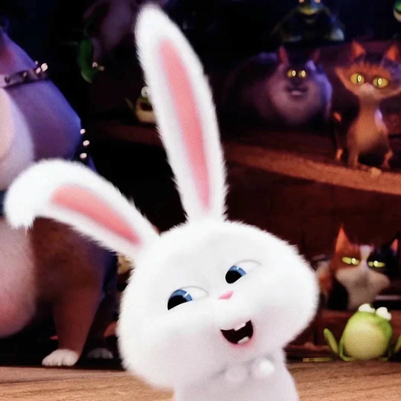 hình ảnh Snowball 10