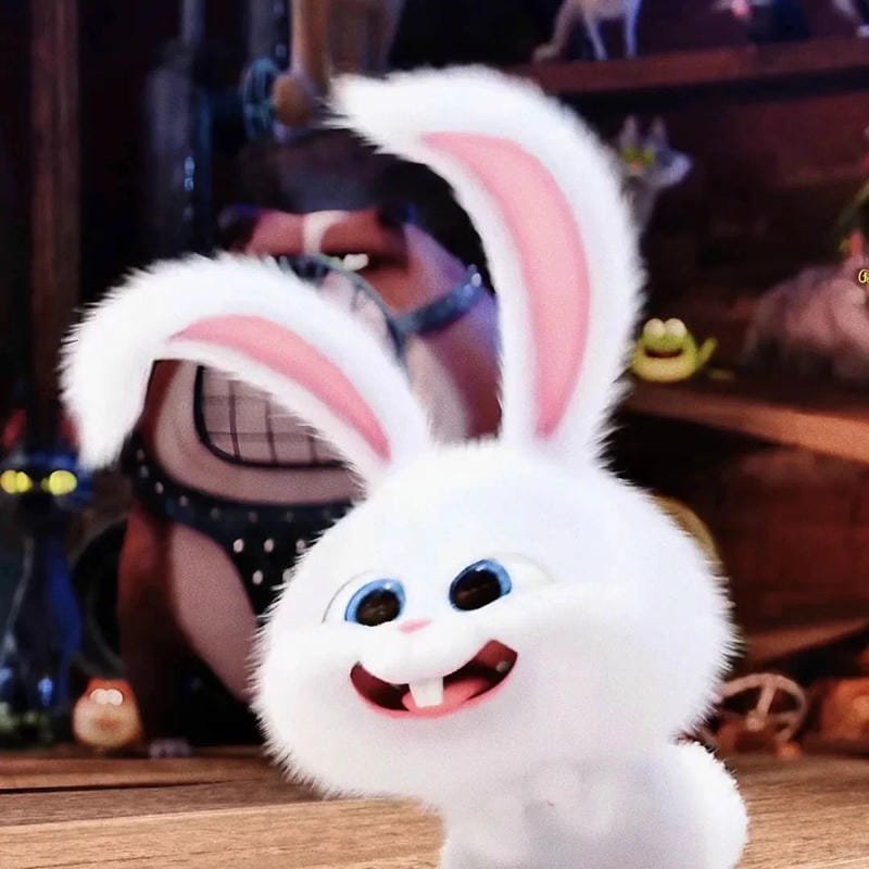 hình ảnh Snowball 11