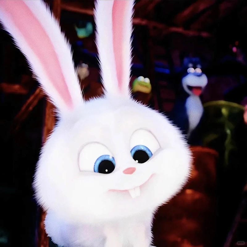 hình ảnh Snowball 12
