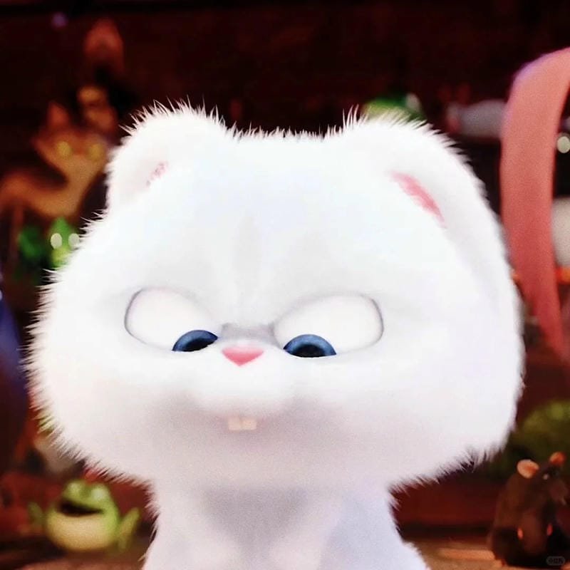 hình ảnh Snowball 13
