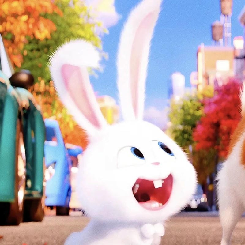 hình ảnh Snowball 14