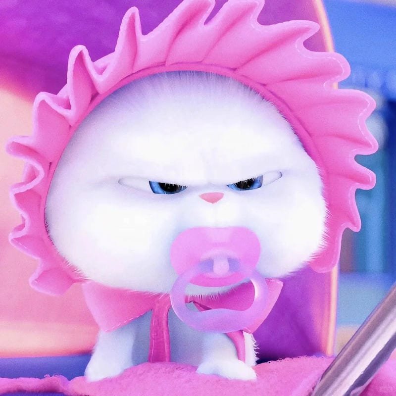 hình ảnh Snowball 17