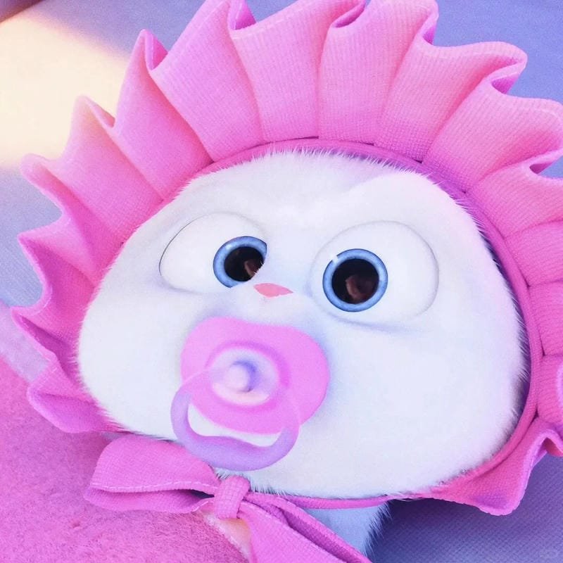 hình ảnh Snowball 19