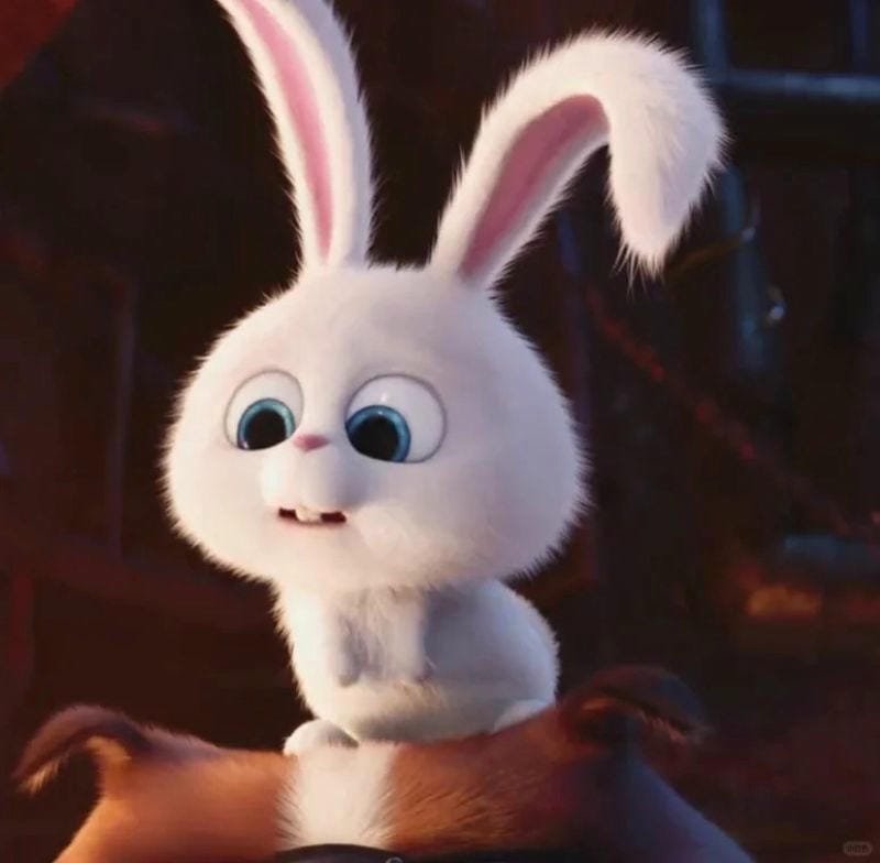 hình ảnh Snowball 20