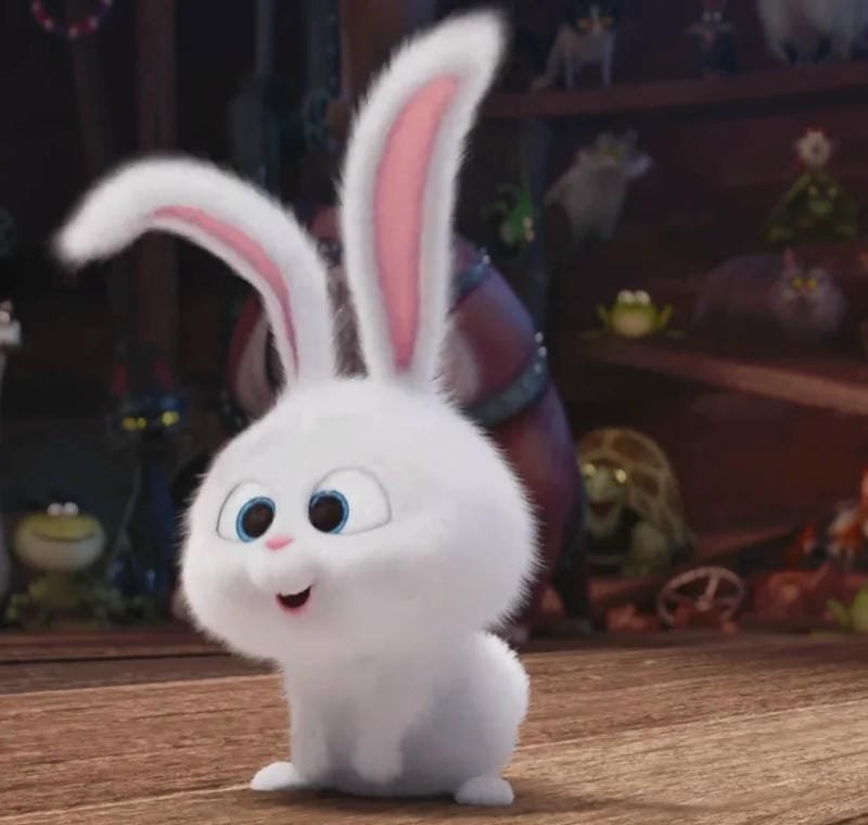 hình ảnh Snowball 21