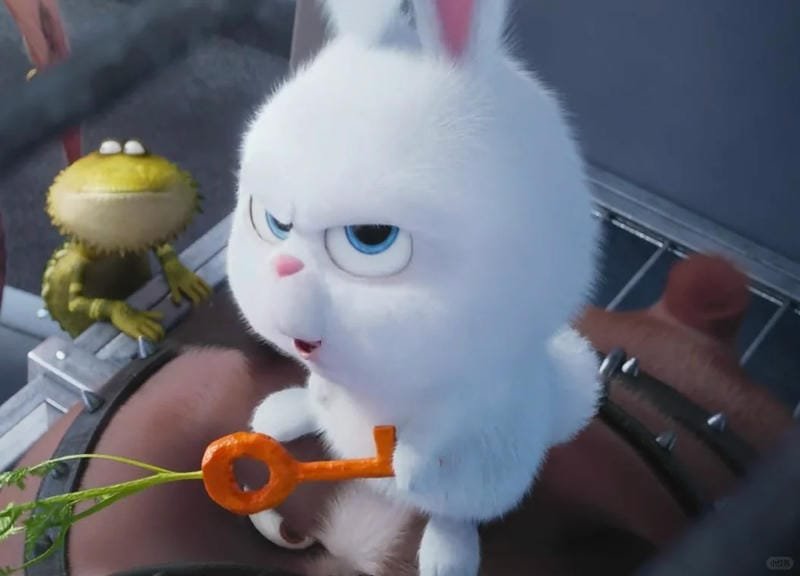 hình ảnh Snowball 22