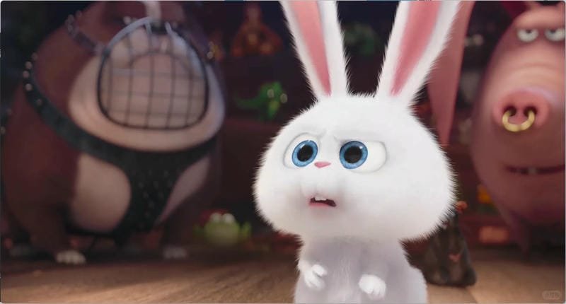 hình ảnh Snowball 23