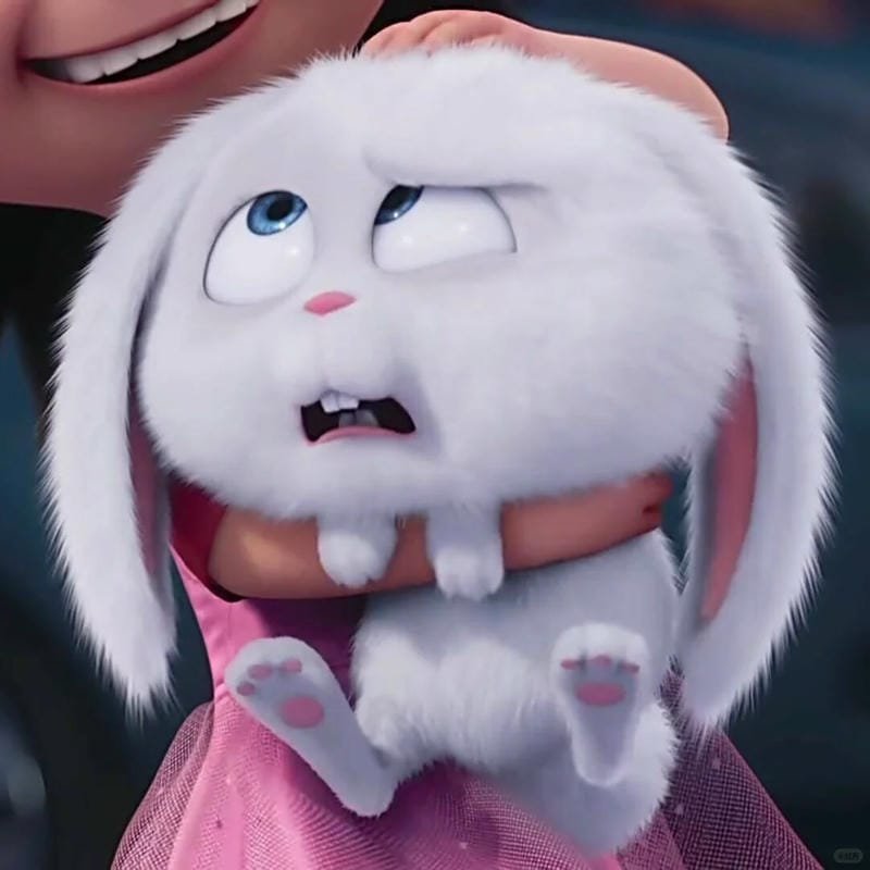 hình ảnh Snowball 24