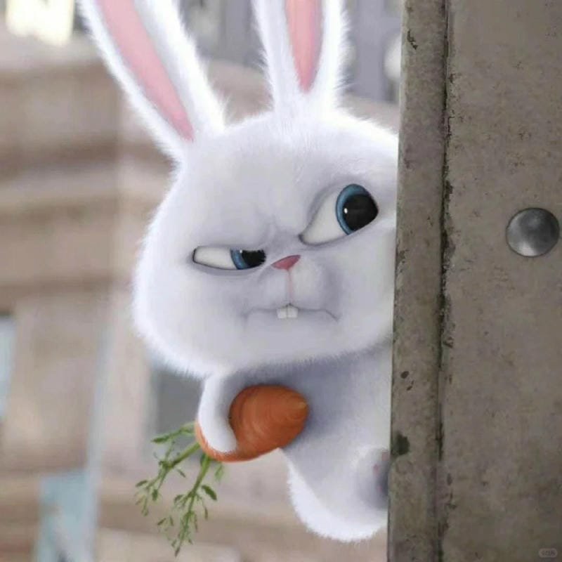 hình ảnh Snowball3