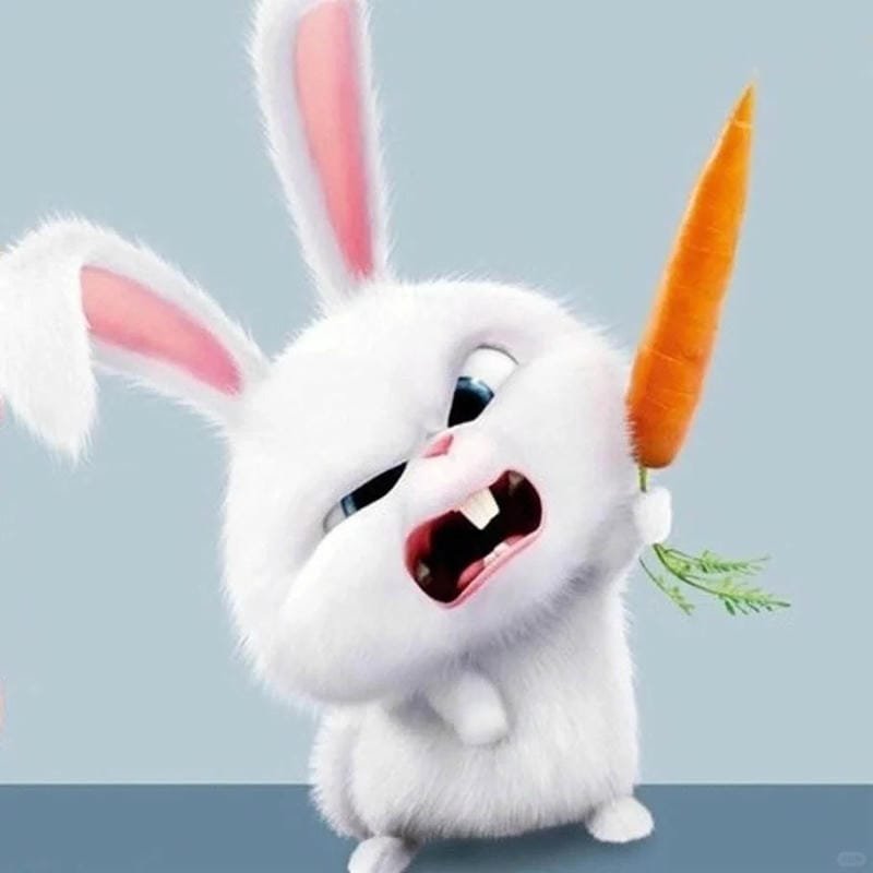 hình ảnh Snowball 5