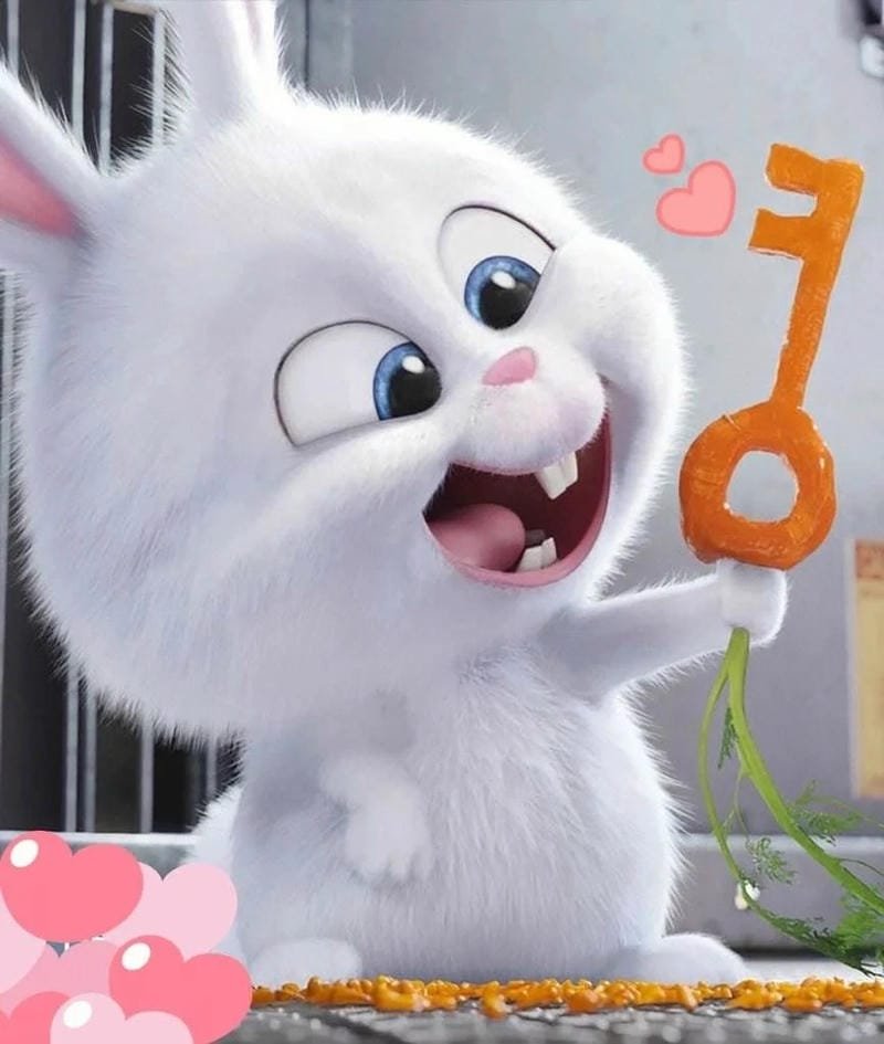 hình ảnh Snowball 6