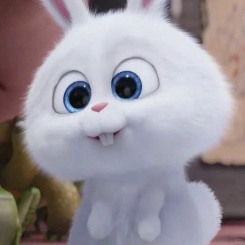 hình ảnh Snowball 7
