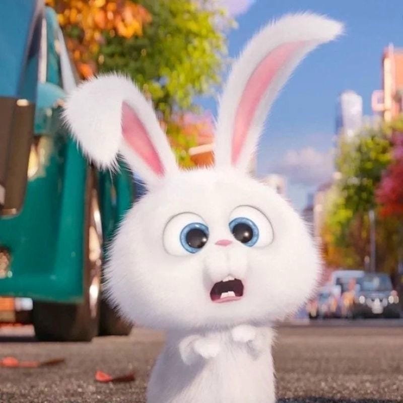 hình ảnh Snowball 8
