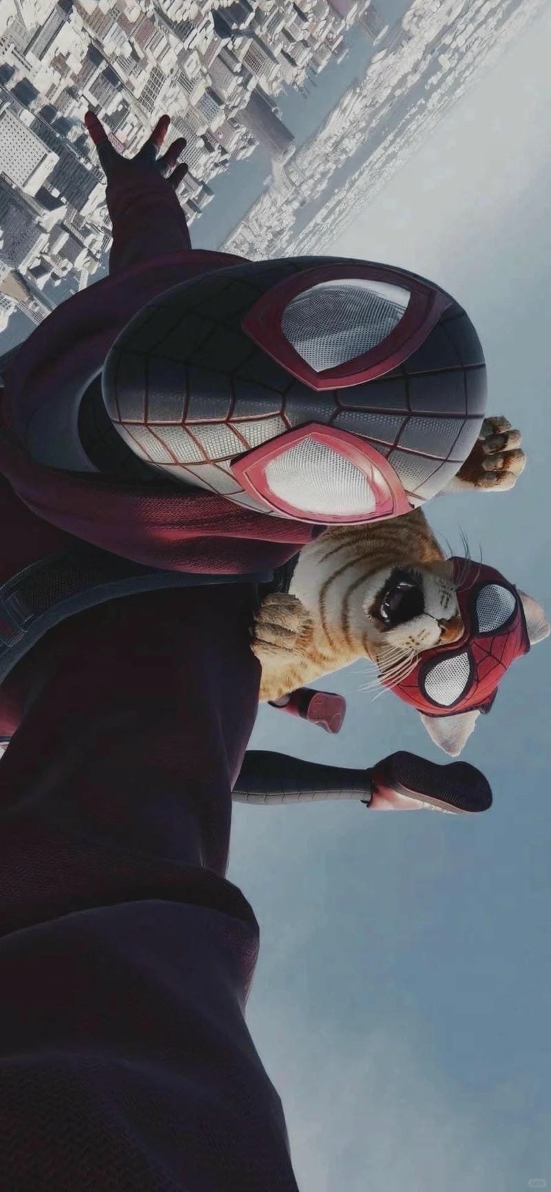  hình ảnh Spiderman 14