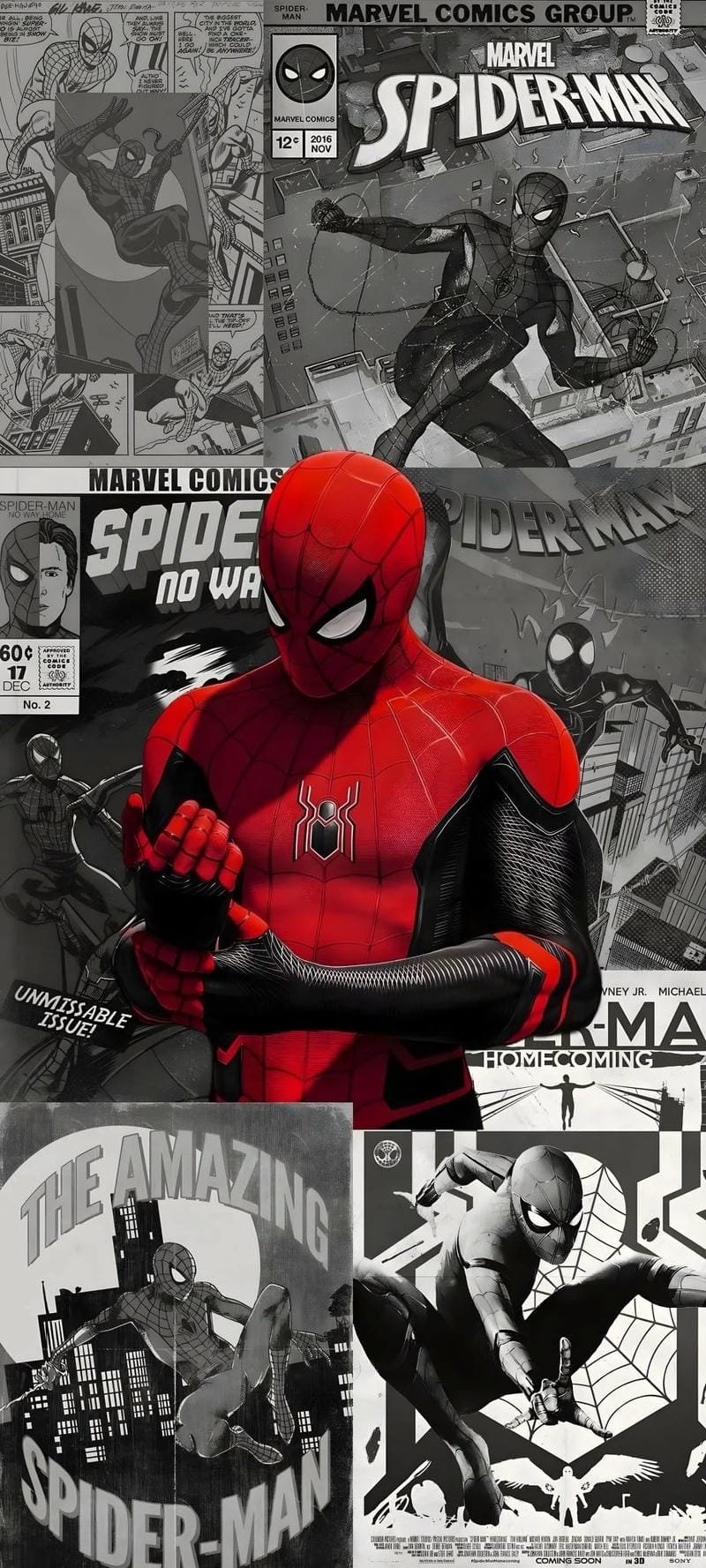  hình ảnh Spiderman 22