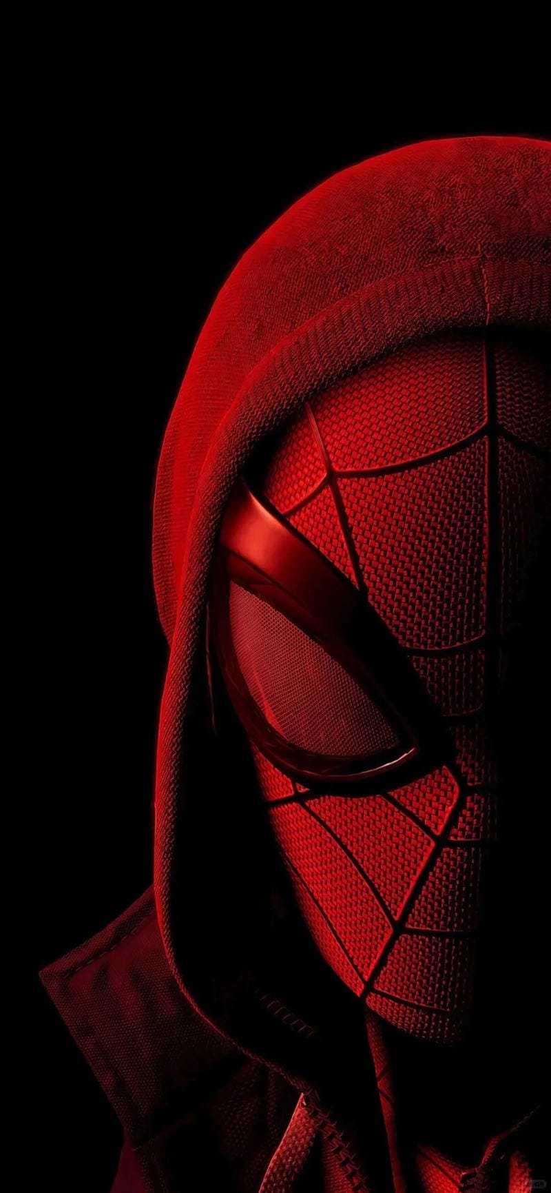  hình ảnh Spiderman 5