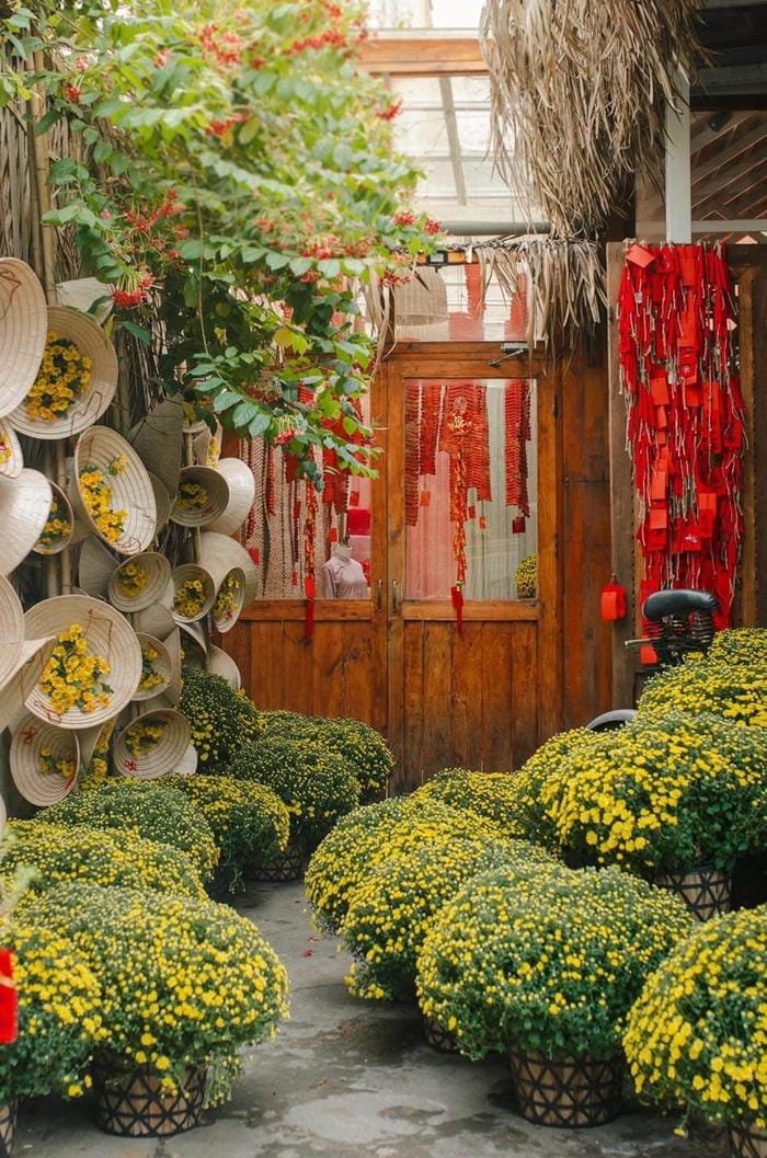 hình ảnh tết 23