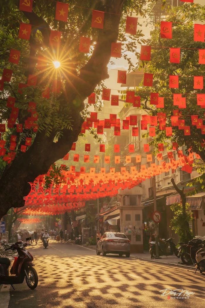 hình ảnh tết 24
