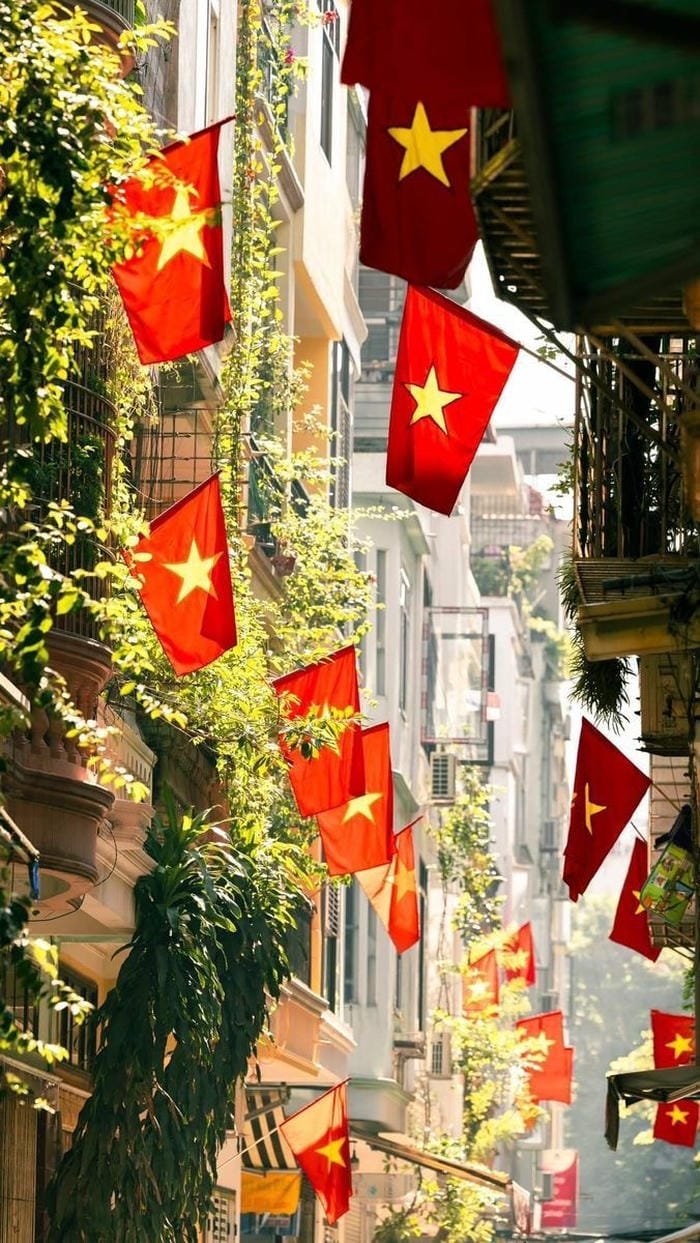hình ảnh tết 9