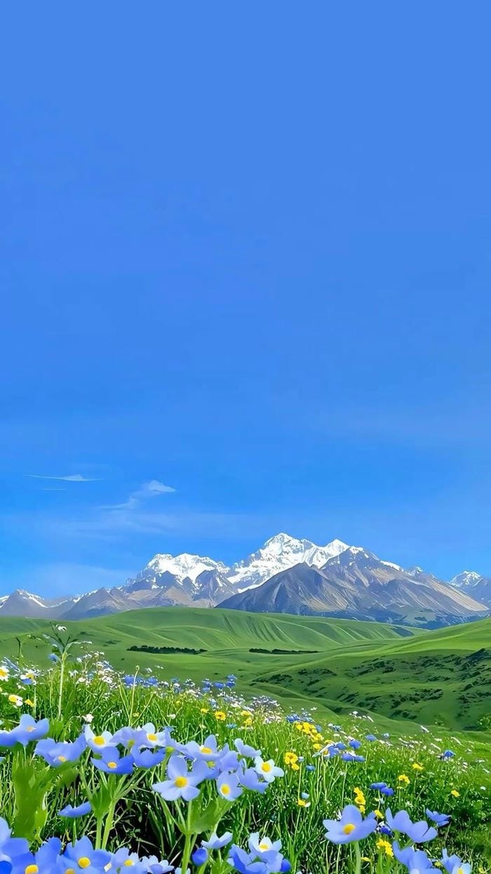 hình ảnh thiên nhiên 17