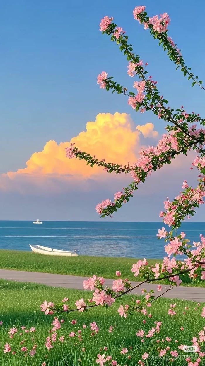 hình ảnh thiên nhiên 21
