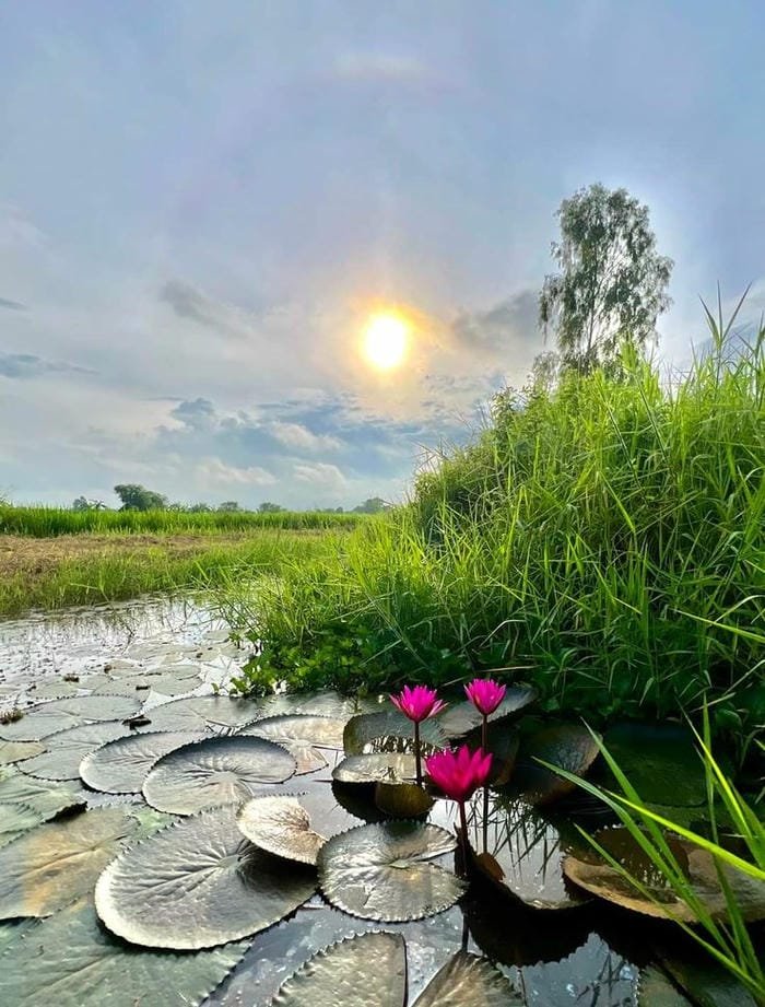 hình ảnh thiên nhiên 29
