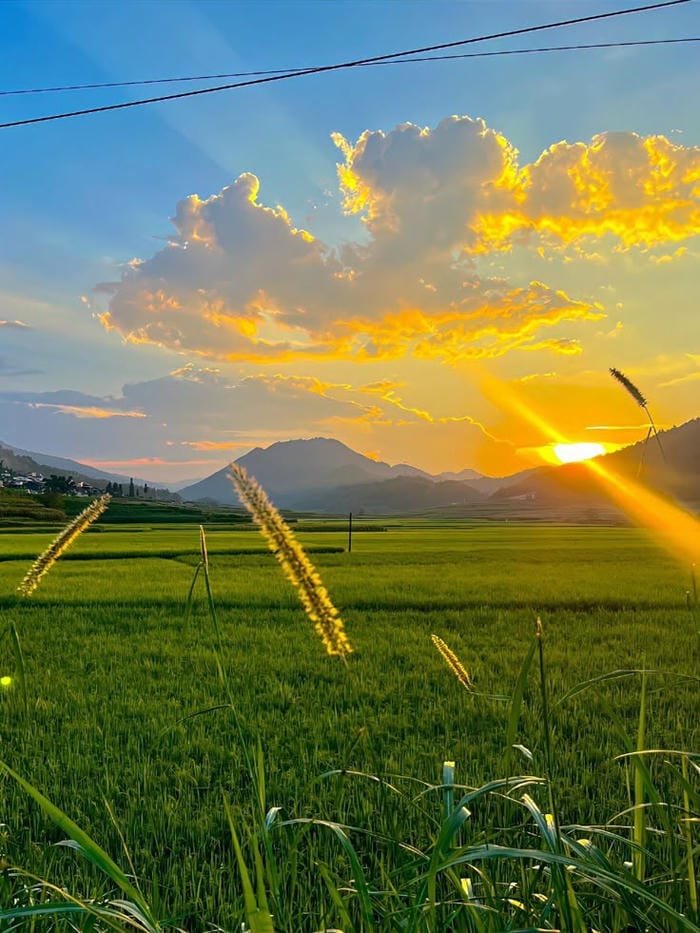 hình ảnh thiên nhiên 7
